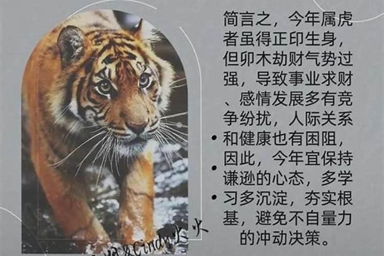 生肖虎几月份出生的人最好命？