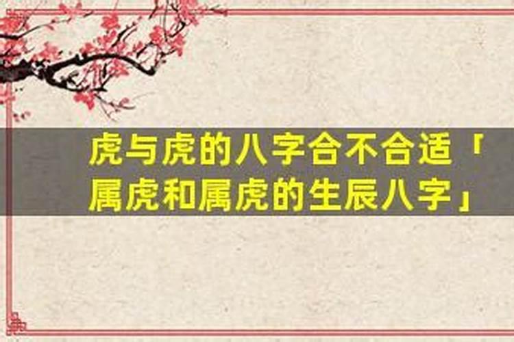 虎与虎八字合不合