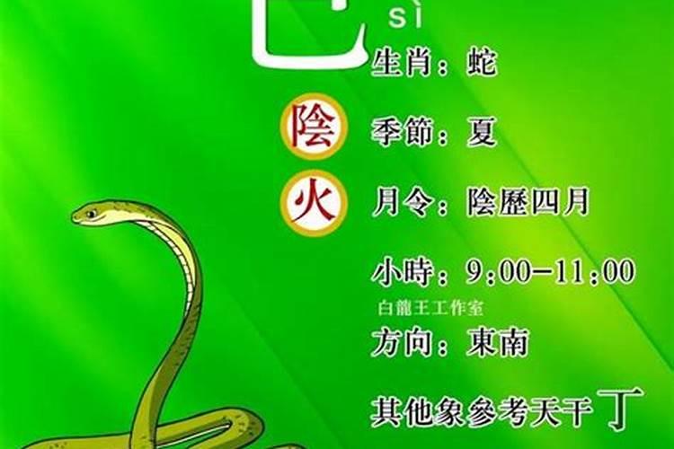 巳己年属什么运程？