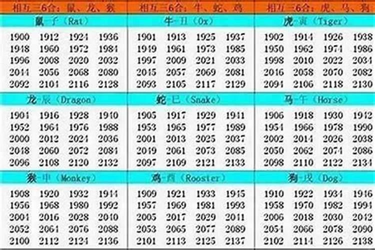 2026年是什么命？