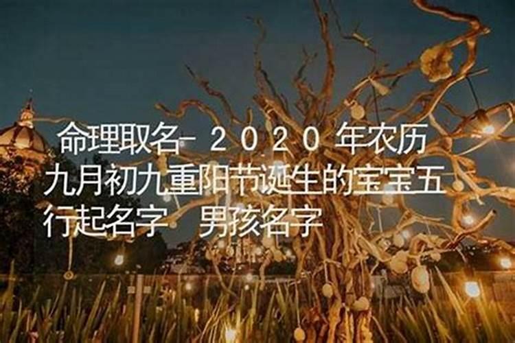 哪种生肖是九月初九？