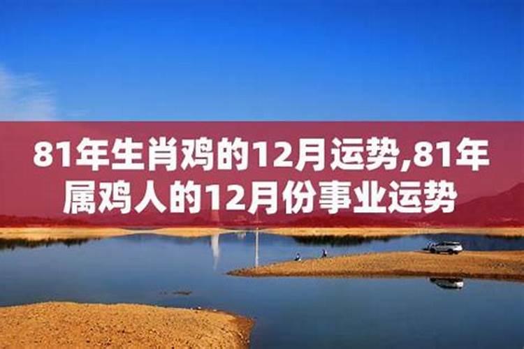 1981年生的今年运势