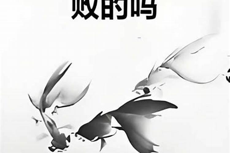 祖母干涉我的婚姻算吗？