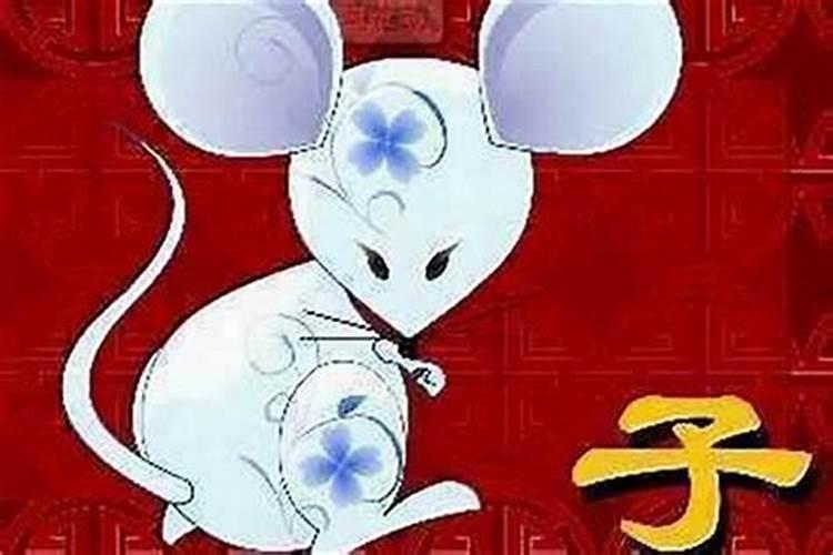 男属鼠女属猪能合婚吗？