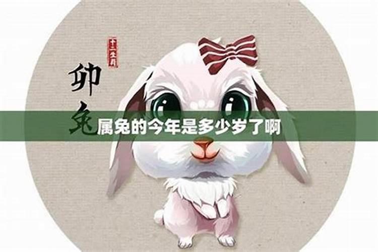 属兔二O一九年运势如何？