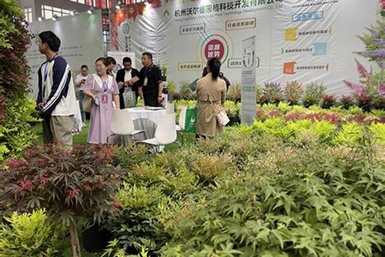 2026年运程苗木博览会