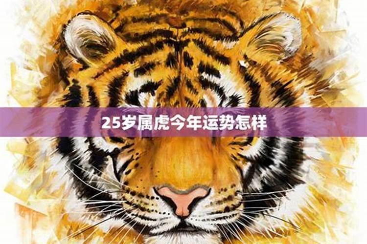 属虎人在猪年的运势怎样？