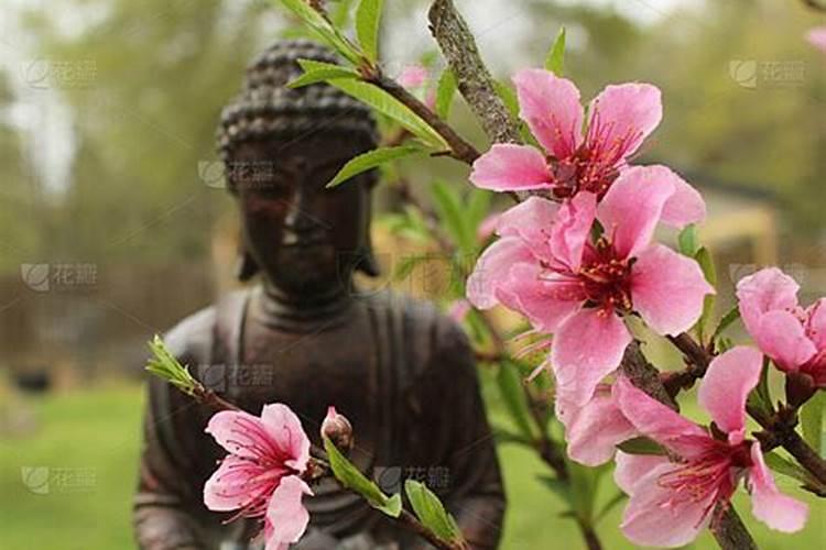 女佩戴什么佛像旺桃花？