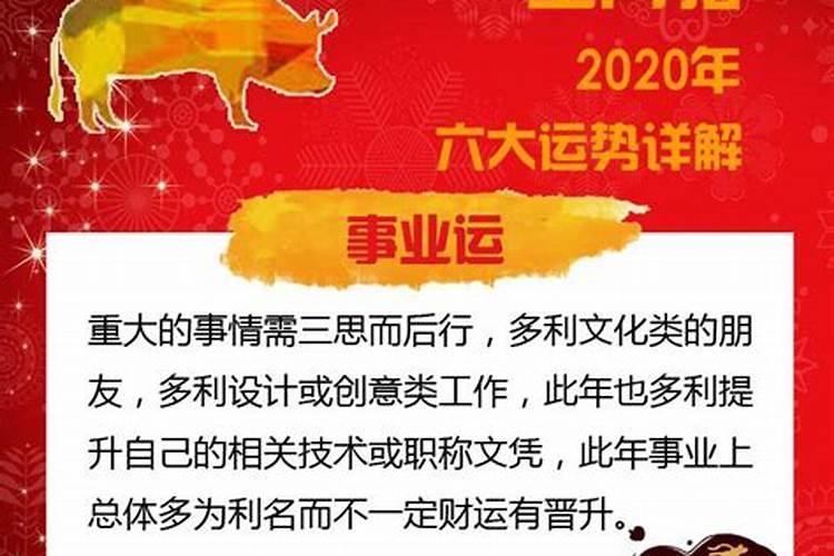 属猪的11月的运势如何？