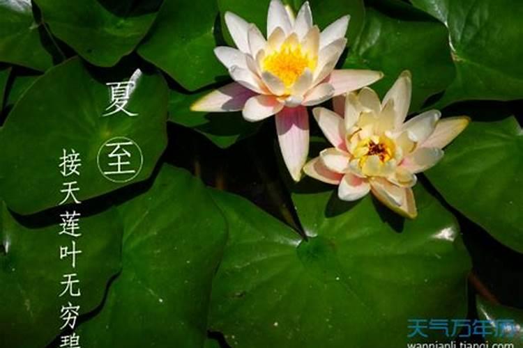 夏至古时候是哪一天？