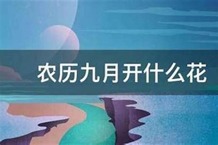 声音农历九月初九是什么？