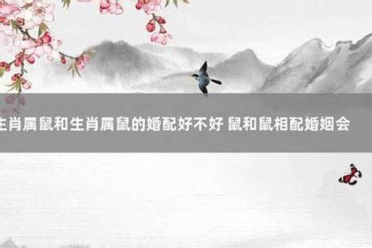 属你男婚配什么属相最好？