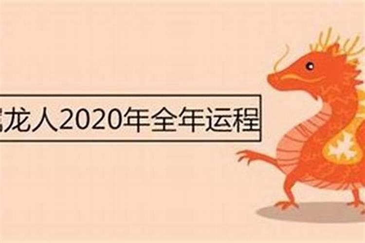 属猪和属龙今年运势如何？
