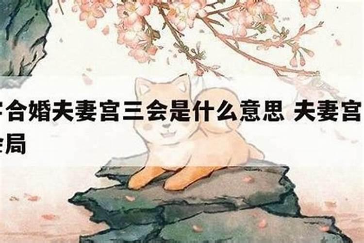 合婚半三合是什么意思？