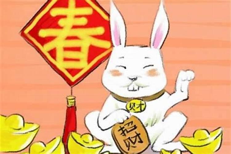 生肖兔一生的财运运势直播