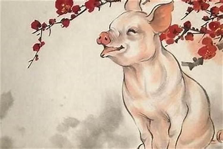 犯太岁怎么办属猪？