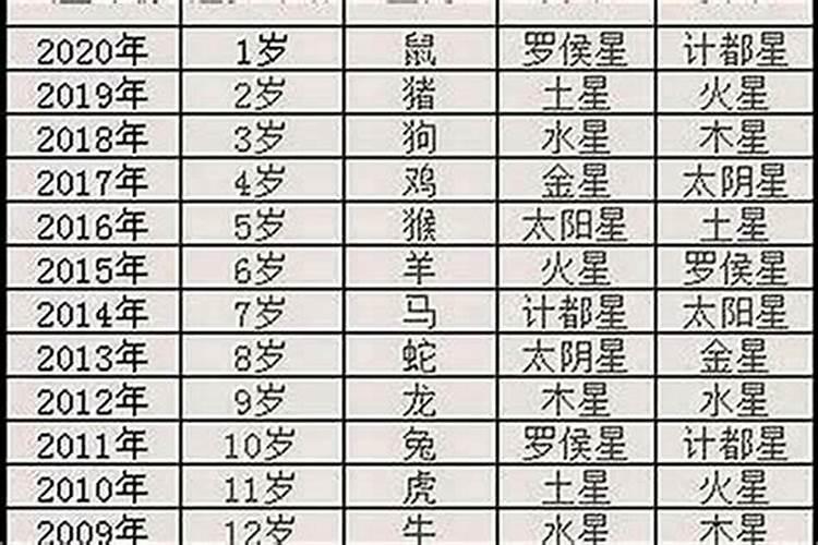1991年本命年是哪年？