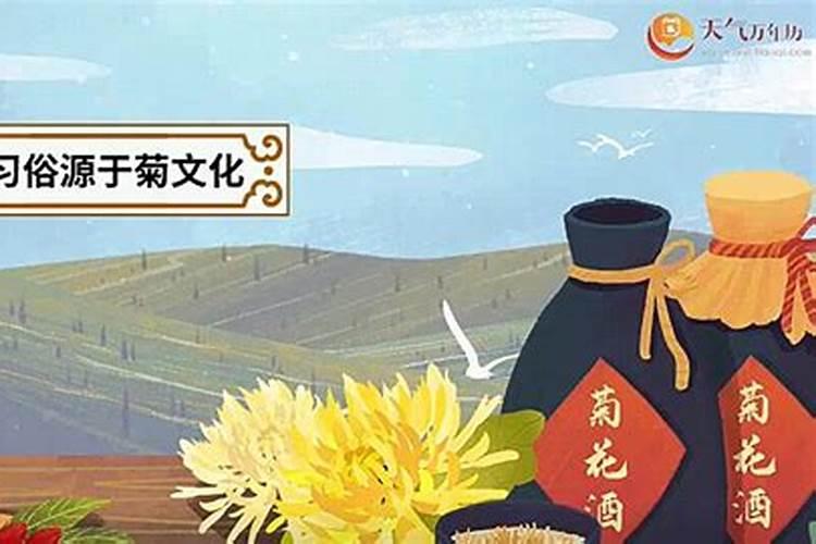 重阳节有什么风俗习惯呢？