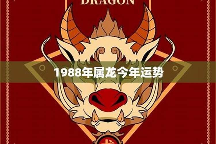 1988年出生的龙今年运势如何？