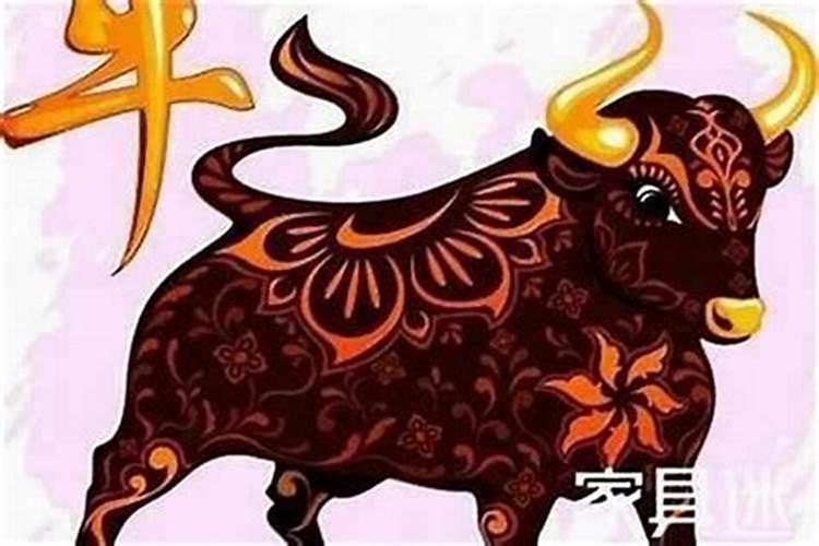 属牛的在2026年的运势怎样？