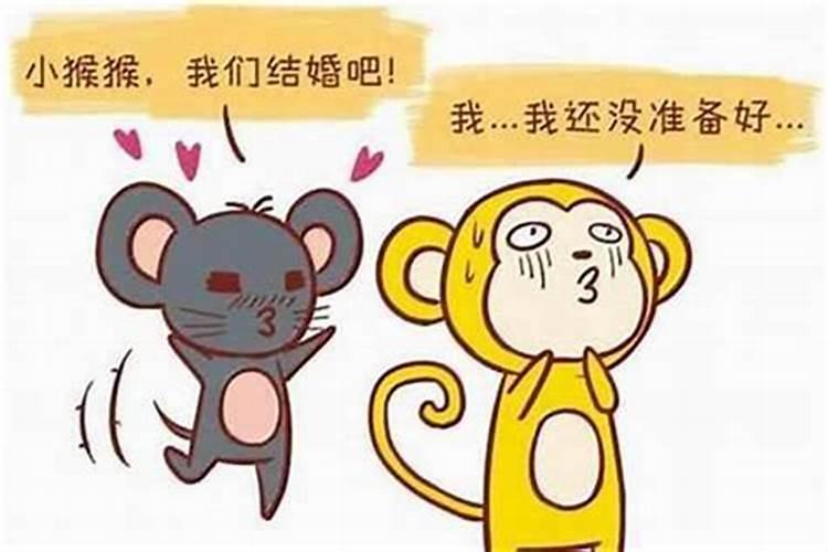 男人属鼠女人属猴合婚吗？