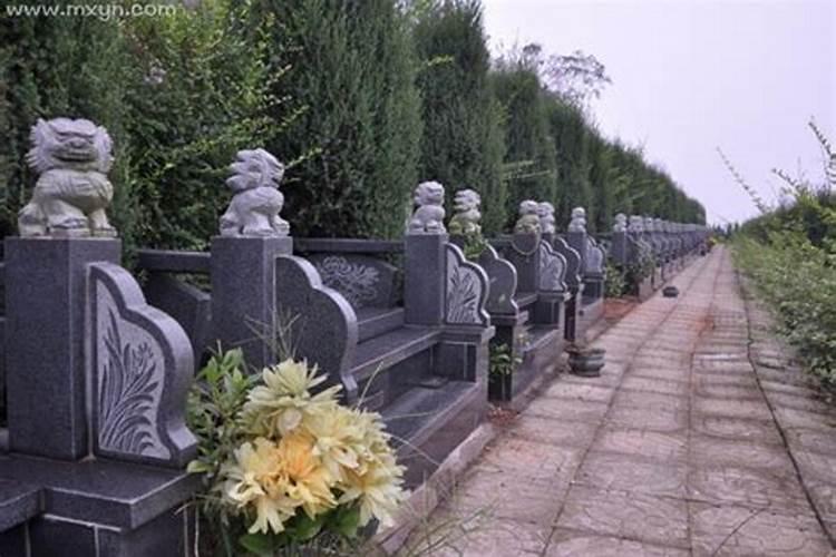 梦见带孩子经过墓园