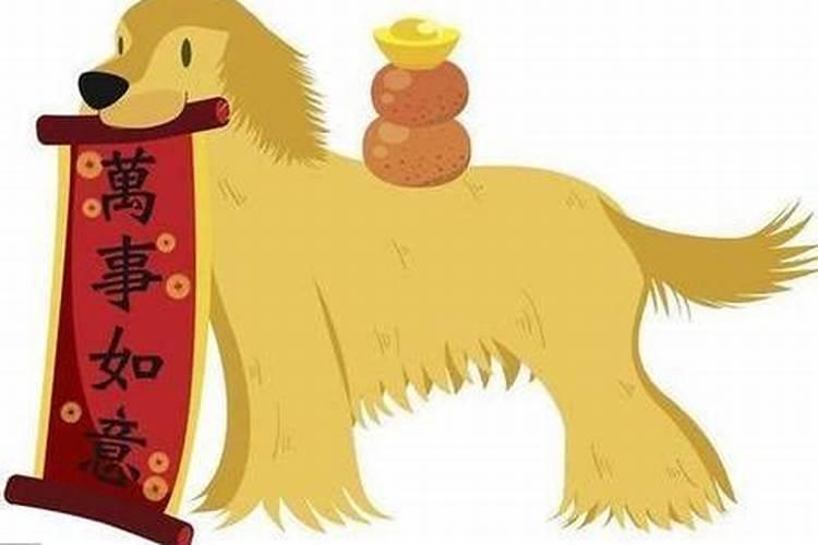 70年的出生的狗今年的运势