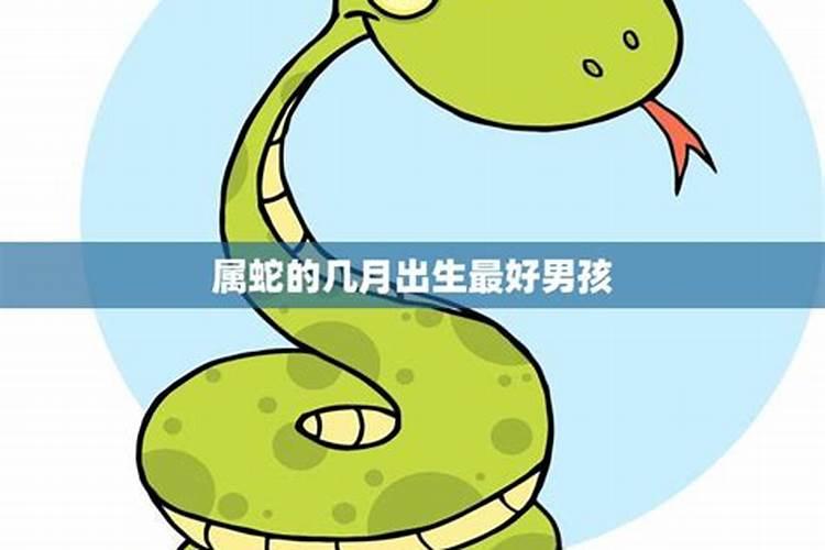 属蛇冬至出生的男孩好不好？