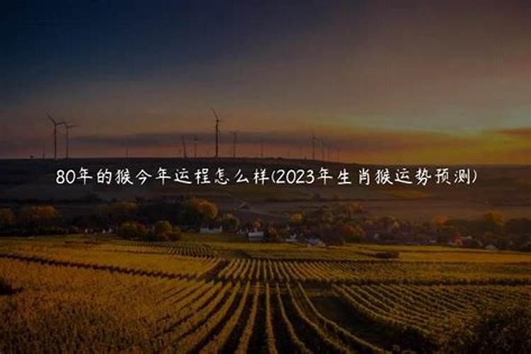 80年的运程是什么今年？