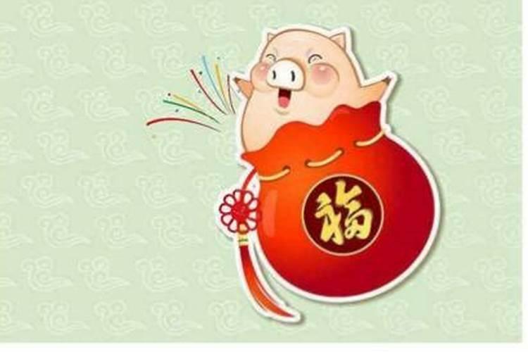 今年猪宝宝的运势好吗？