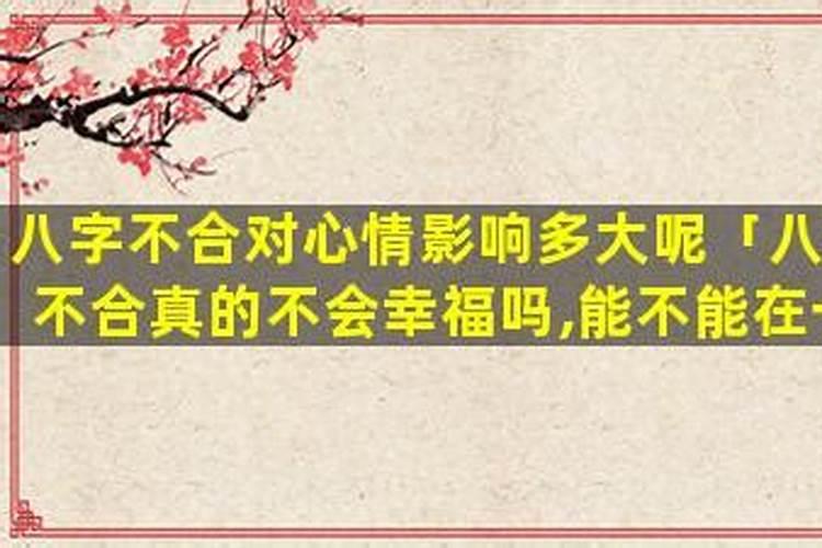八字不合真的就不会幸福吗辩论？
