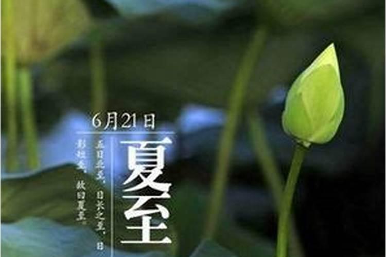 夏至后一天运势