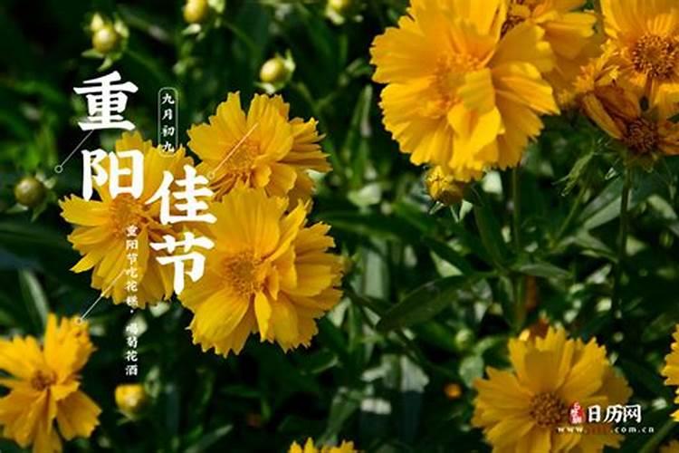 打开日历说重阳节是几号？