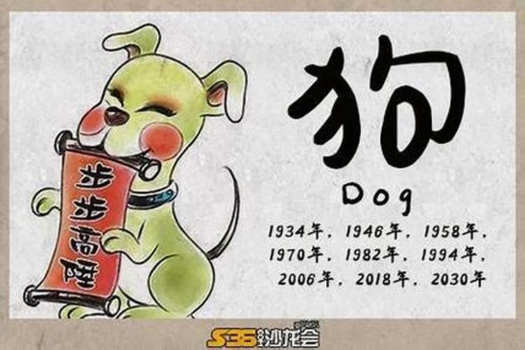 属狗八月出生运势如何？