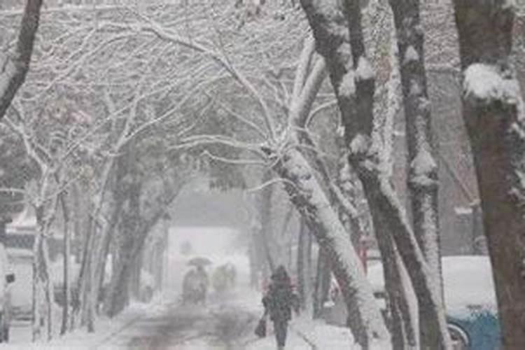 哪几年天津除夕下雪？