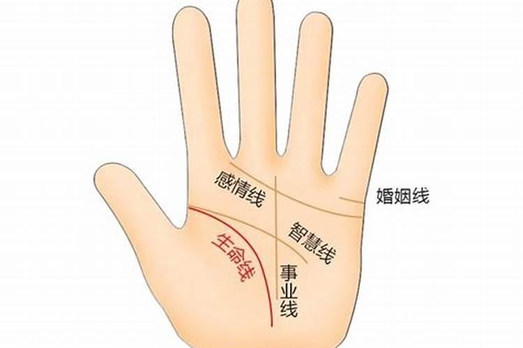 怎么算婚姻鸡眼纹？