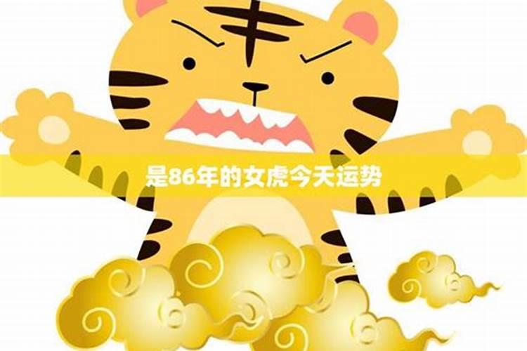 86年11月属虎运势如何？