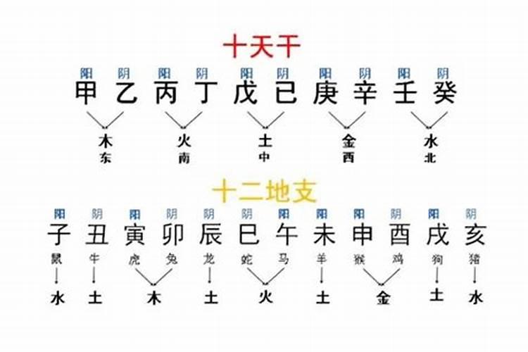 八字合婚如何配天干地支？