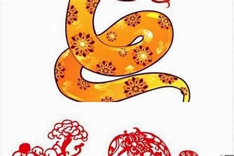 属蛇与什么属性合婚？