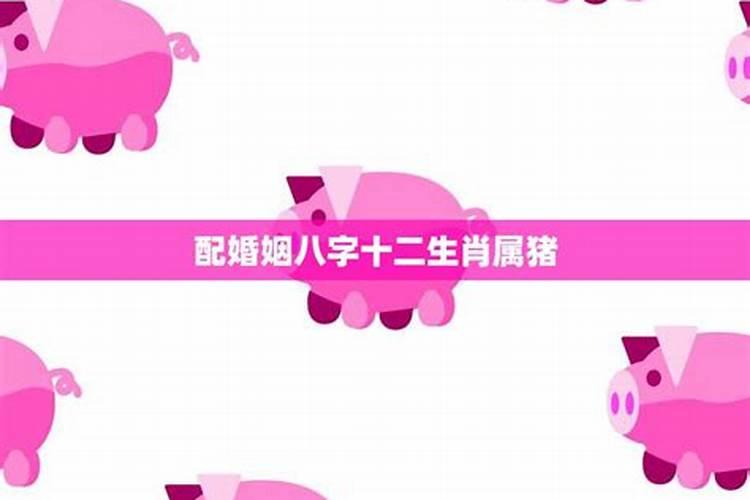 婚姻八字猪配猪好吗？