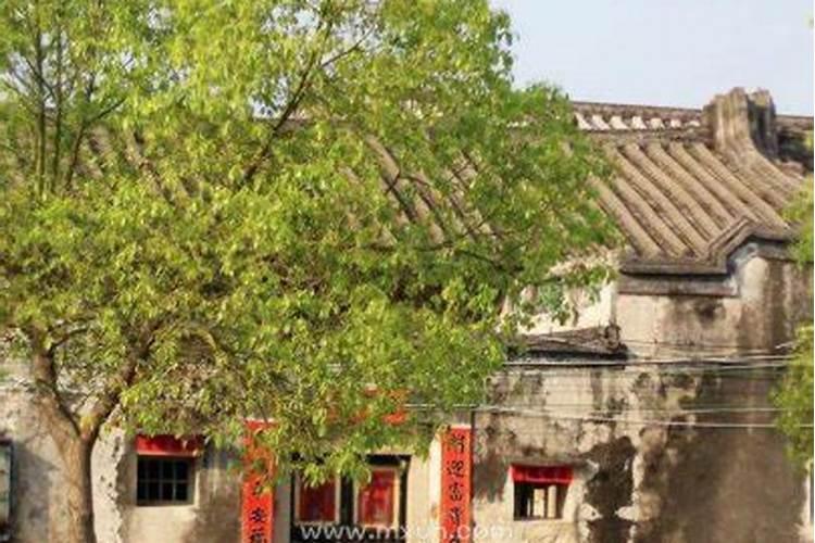 梦见回老家是什么预兆？