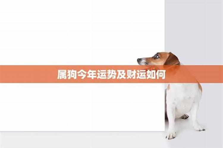 95年1月29号属狗今年运势