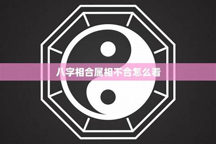八字合的属相不合