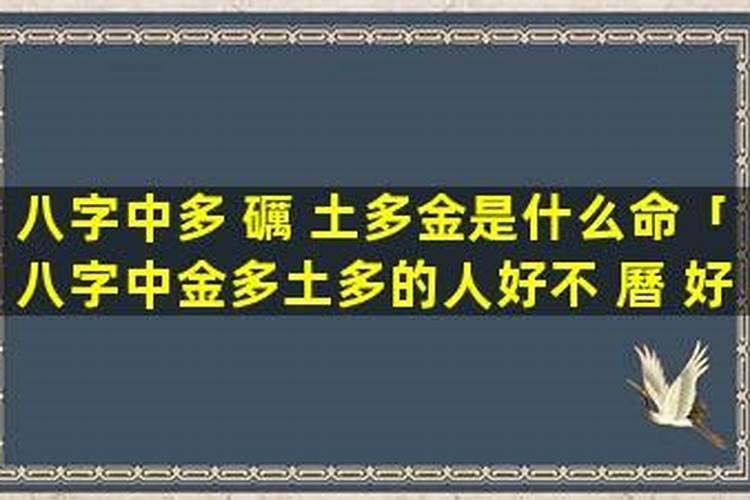 八字金多水多的人2026年运程？