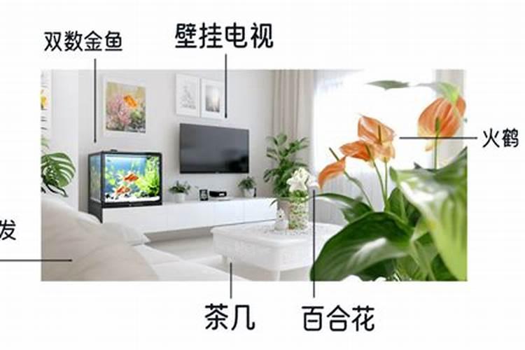 增强感情运势的方法