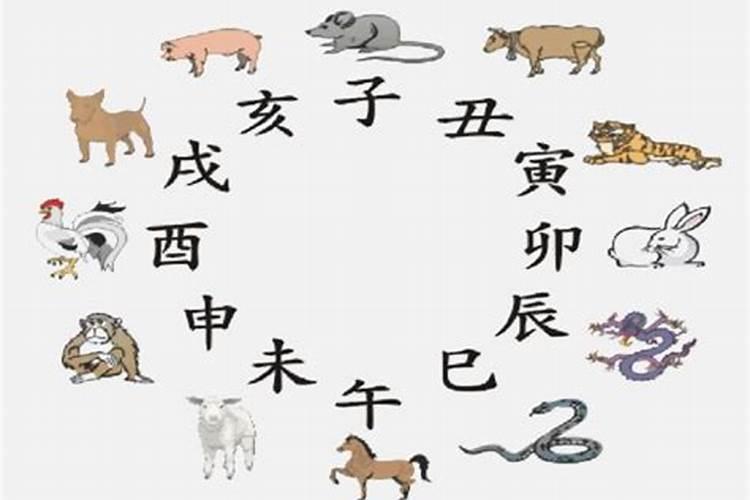 虎年出生的人的运势