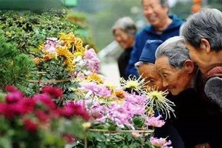 重阳节民间活动及习俗内容