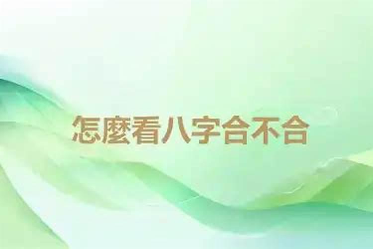 六二年與六九年八字合不合
