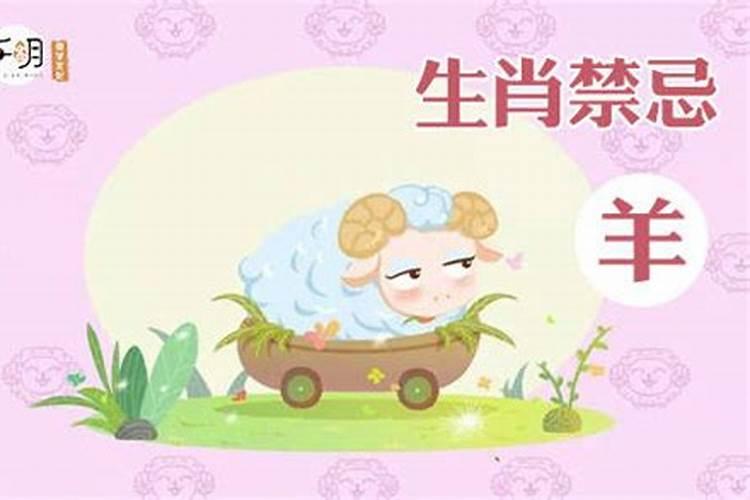 羊鸡婚配生什么属相宝宝？