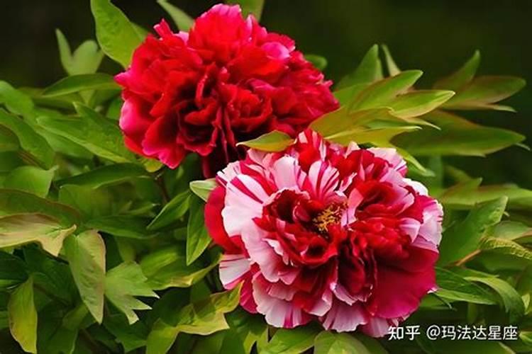 考试如何提升运气和运气？